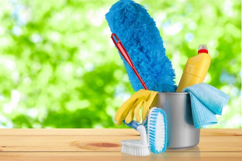Professional carpet cleaning in a Stroud Green living room