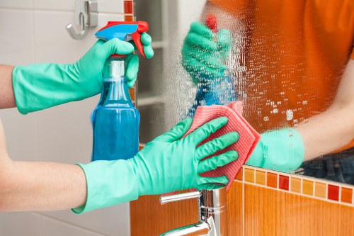 Detailed upholstery care for a family sofa