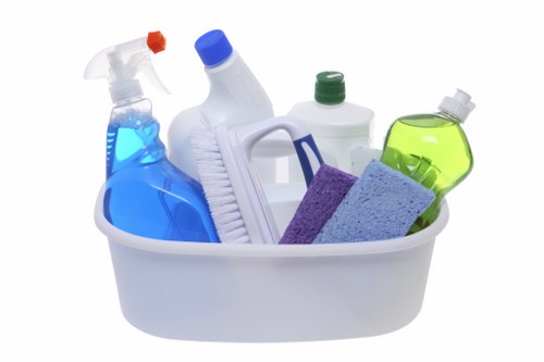 Technician preparing carpet cleaning equipment in a safe domestic setting