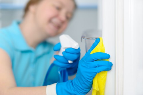 Professional pet stain odour removal in a Stroud Green living room