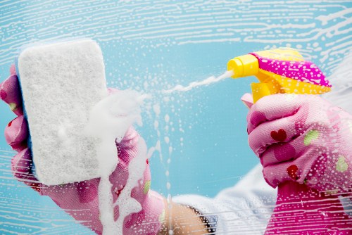 Detailed carpet care assessment and cleaning process