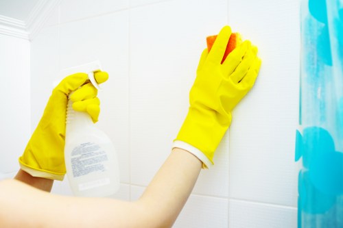 Reusable cleaning supplies and recycled packaging materials prepared for service