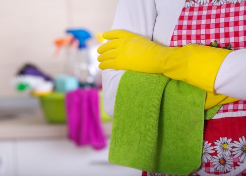 Professional upholstery cleaning sofa in Stroud Green living room
