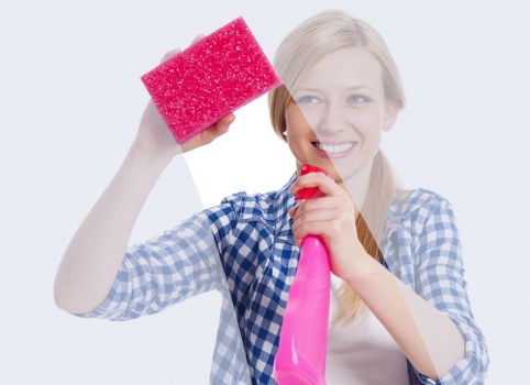 Upholstery cleaning tools prepared for sofa care
