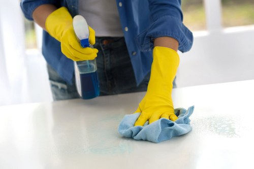 Deep cleaning treatment for pet odours on carpet in Stroud Green