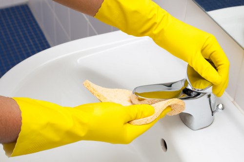 Removing pet stains from upholstery in a Stroud Green home