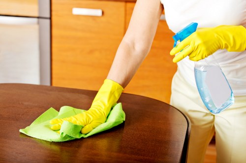 Screen-reader friendly website accessibility concept for local cleaning services